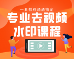 专业去视频水印教程 静态水印、动态水印、文字水印、图片水印一套教程通通搞定-苏柒资源库