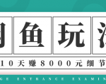 龟课·闲鱼项目玩法实战班第12期,操作10天左右利润有8000元细节玩法-苏柒资源库