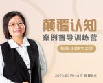 颠覆认知,案例督导训练营:打破旧模式 引领新思维-苏柒资源库
