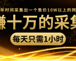 年赚十万的采集站,每天却只需要1小时,一年时间采集出一个售价10W以上的网站-苏柒资源库