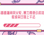 抖音直播间风火轮，暴力微信引流技术，低成本日加上千法-苏柒资源库