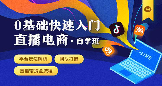0基础快速入门直播电商课程：直播平台玩法解析-团队打造-带货全流程等环节-苏柒资源库