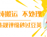 抖音纯搬运 不处理 小技巧,30秒发一个作品,避免违规评级秒过豆荚-苏柒资源库