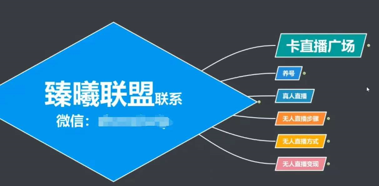 臻曦联盟，最新无人直播万人在线技术理原及详细操作步骤解析（视频教程）-苏柒资源库