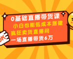 0基础直播带货课：小白也能低成本搭建疯狂卖货直播间：1场直播带货6万-苏柒资源库