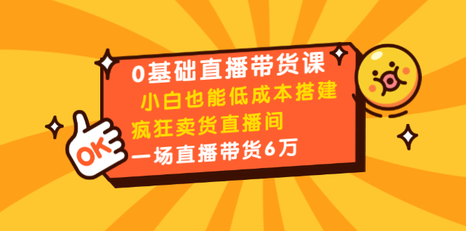0基础直播带货课：小白也能低成本搭建疯狂卖货直播间：1场直播带货6万-苏柒资源库