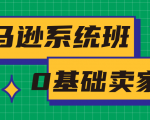 亚马逊系统班,专为0基础卖家量身打造,亚马逊运营流程与架构-苏柒资源库