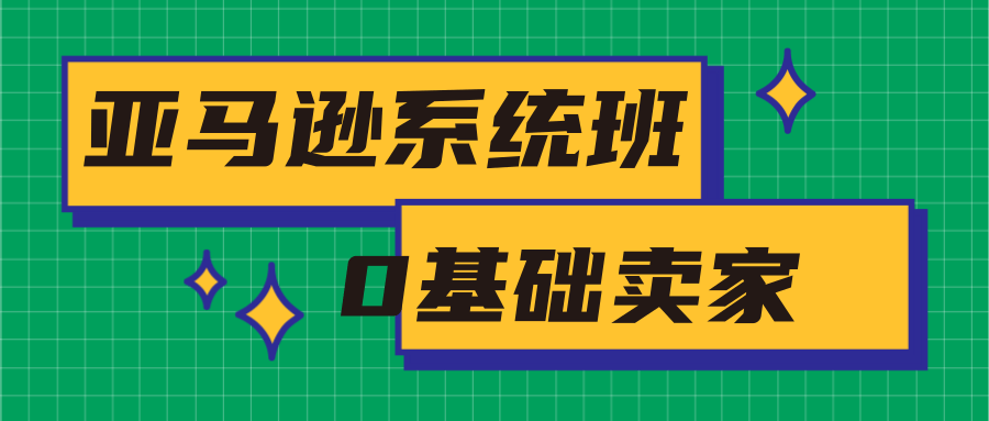 亚马逊系统班，专为0基础卖家量身打造，亚马逊运营流程与架构-苏柒资源库