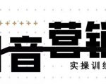 《12天线上抖音营销实操训练营》通过框架布局实现自动化引流变现-苏柒资源库