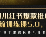 小红书爆款推广引流训练课5.0，手把手带你玩转小红书（17节实操视频+话术）-苏柒资源库