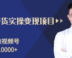 柚子分享课:微信视频号变现攻略,新手零基础轻松日赚千元-苏柒资源库