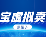 黑帽子淘宝虚拟卖货项目，单店每月收入5000+-苏柒资源库