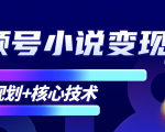 柚子微信视频号小说变现项目，全新玩法零基础也能月入10000+【核心技术】-苏柒资源库