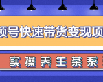柚子视频号带货实操变现项目,零基础操作养身茶月入10000+-苏柒资源库