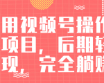视频号操作书单变现项目，后期轻松变现，完全躺赚日入300至500元-苏柒资源库