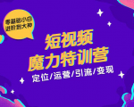 零基础小白进阶到大神《短视频魔力特训营》定位-运营-引流-变现-苏柒资源库