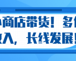 微信小商店带货,爆单多倍收入,长期复利循环!日赚300-800元不等-苏柒资源库