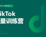 2020最新TikTok流量增长训练营（完结）附PPT-苏柒资源库