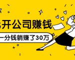 0元开公司赚钱,不花一分钱几天躺赚了30多万,详细操作流程!-苏柒资源库