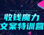 8堂收钱魔力文案特训营:让你的文案成为你的财富印钞机,靠文章日赚千元-苏柒资源库