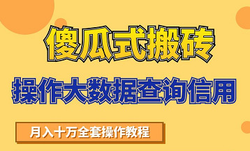 搬砖操作大数据查询信用项目赚钱教程，祝你快速月入6万-苏柒资源库