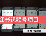 野路子小红书视频号1.0项目，直接上手操作就能赚钱的视频号项目-苏柒资源库