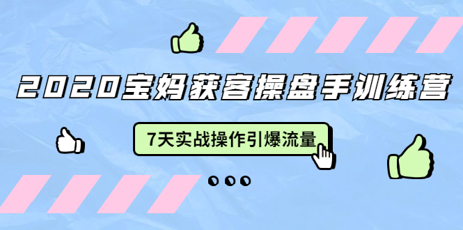 2020宝妈获客操盘手训练营：7天实战操作引爆 母婴、都市、购物宝妈流量-苏柒资源库