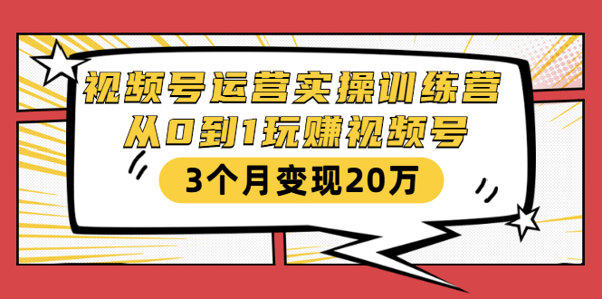 视频号运营实操训练营：从0到1玩赚视频号，3个月变现20万-苏柒资源库