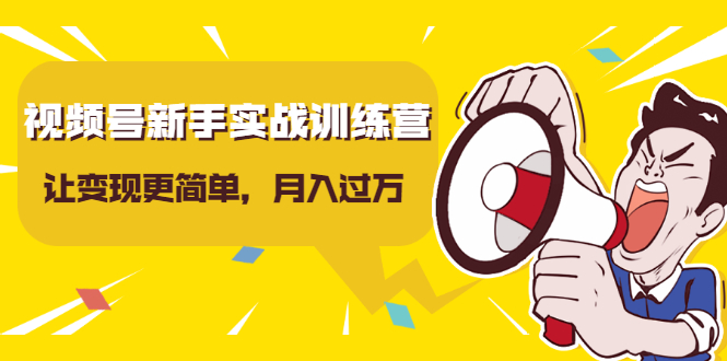 视频号新手实战训练营，让变现更简单，玩赚视频号，轻松月入过万-苏柒资源库