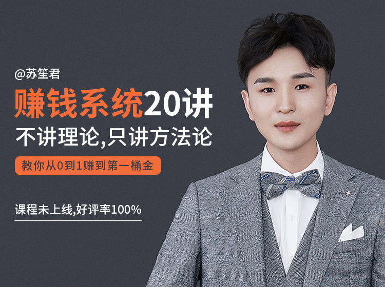 苏笙君的赚钱系统20课 教你从0到1赚到你的第一桶金(不讲理论,只讲方法论)-苏柒资源库