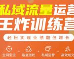 私域流量运营王炸训练营：全网引流+裂变涨粉+私域运营+高效成交-苏柒资源库