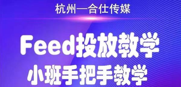 合仕传媒Feed投放教学，手把手教学，开车烧钱必须自己会-苏柒资源库