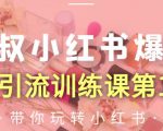 狼叔小红书爆款推广引流训练课第12期,手把手带你玩转小红书-苏柒资源库