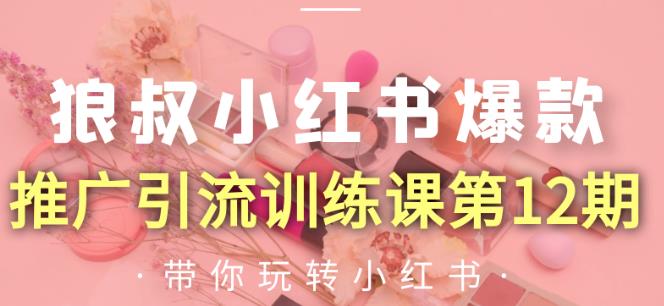 狼叔小红书爆款推广引流训练课第12期，手把手带你玩转小红书-苏柒资源库