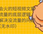 只说话就会火的短视频文案课,从根本上解决没流量的问题-苏柒资源库