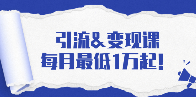 引流&变现课：分享一整套流量方法以及各个渠道收入，每月最低1万起！-苏柒资源库