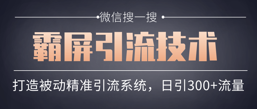 微信搜一搜霸屏引流技术，打造被动精准引流系统，轻松日引300+流量-苏柒资源库