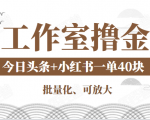 工作室撸金二件套:撸今日头条原创收益+小红书一单利润40块项目-苏柒资源库
