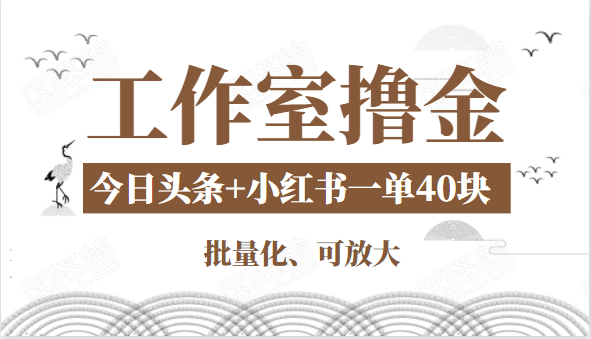 工作室撸金二件套：撸今日头条原创收益+小红书一单利润40块项目-苏柒资源库
