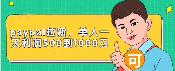 Paypal拉新赚美刀项目，单人一天利润500-1000刀【视频课程】-苏柒资源库