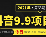 抖音9.9课程项目，没粉丝也能卖课，一天300+粉易变现-苏柒资源库
