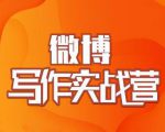 村西边老王·微博超级写作实战营，帮助你粉丝猛涨价值999元-苏柒资源库