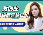 微创业全能训练营认证班课程,从理论知识与实际案例手把手指导创业新手如何从零到有-苏柒资源库