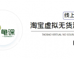 龟课·淘宝虚拟无货源电商5期,全程直播 现场实操,一步步教你轻松实现躺赚-苏柒资源库