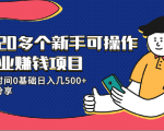 20多个新手可操作的副业赚钱项目:业余时间0基础日入几500+实操分享-苏柒资源库