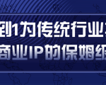 从0到1为传统行业打造抖音商业IP简单高效的保姆级攻略-苏柒资源库
