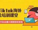最新Tiktok海外掘金培训课堂：带你玩转Tiktok暴力涨粉轻松变现-苏柒资源库