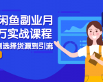 2021闲鱼副业月入过万实战课程:从开店到选择货源到引流,全程实战教学-苏柒资源库