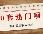 30套热门项目:单日最高收入过万 (网赚项目、朋友圈、涨粉套路、抖音、快手)等-苏柒资源库