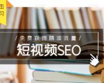 未来新趋势,布局短视频SEO,如何利用抖音SEO免费获得精准流量(3节课)-苏柒资源库